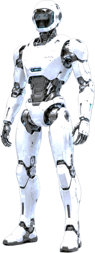 Humanoid Robot